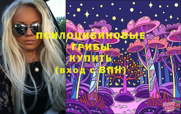 бошки Абаза