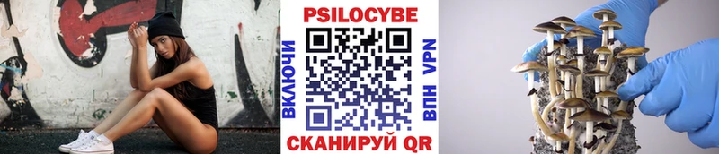 shop как зайти как найти наркотики Североморск Псилоцибиновые грибы MAGIC MUSHROOMS